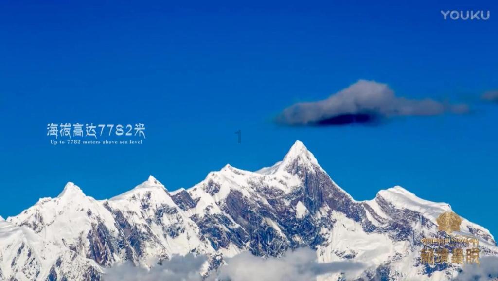 say,tell,speak有什么区别-权威有问必答平台